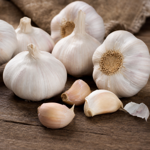 garlic natural antibiotic health