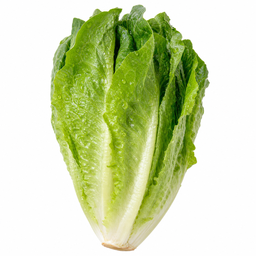 lettuce nutrition health benefits