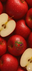 Apple Red