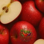 Apple Red