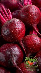Beetroot Fresh