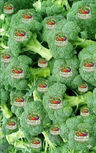 Broccoli Fresh