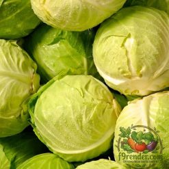 Cabbage White