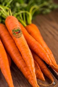 Carrot Fresh