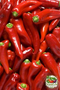 Chili Pepper