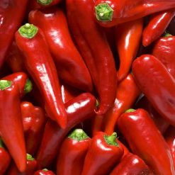 Chili Pepper