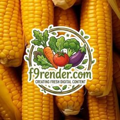Corn Yellow
