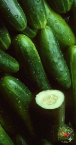 Cucumber Green