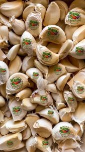 Garlic Fresh