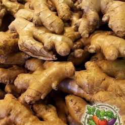 Ginger