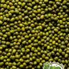 Green Beans