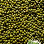 Green Beans