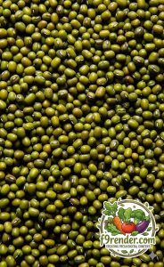Green Beans