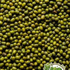 Green Beans