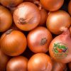 Onion Yellow