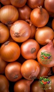 Onion Yellow