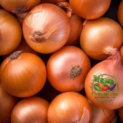Onion Yellow