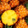 Pineapple Fresh