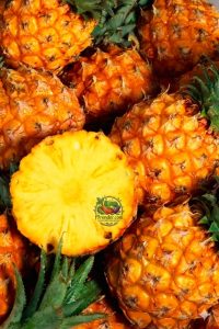 Pineapple Fresh