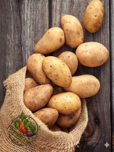 Potato Organic