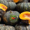Pumpkin Sweet