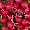 Radish Red