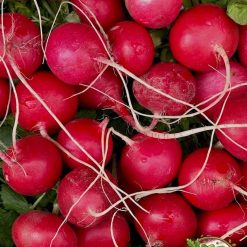 Radish Red