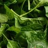 Spinach Organic
