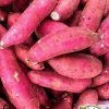 Sweet Potato