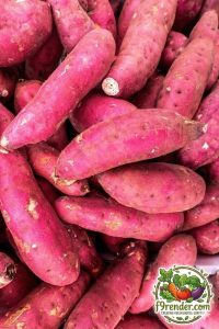 Sweet Potato
