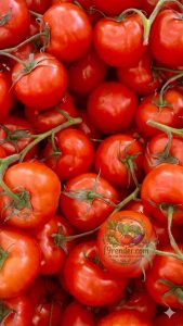 Tomato Red