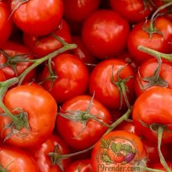 Tomato Red
